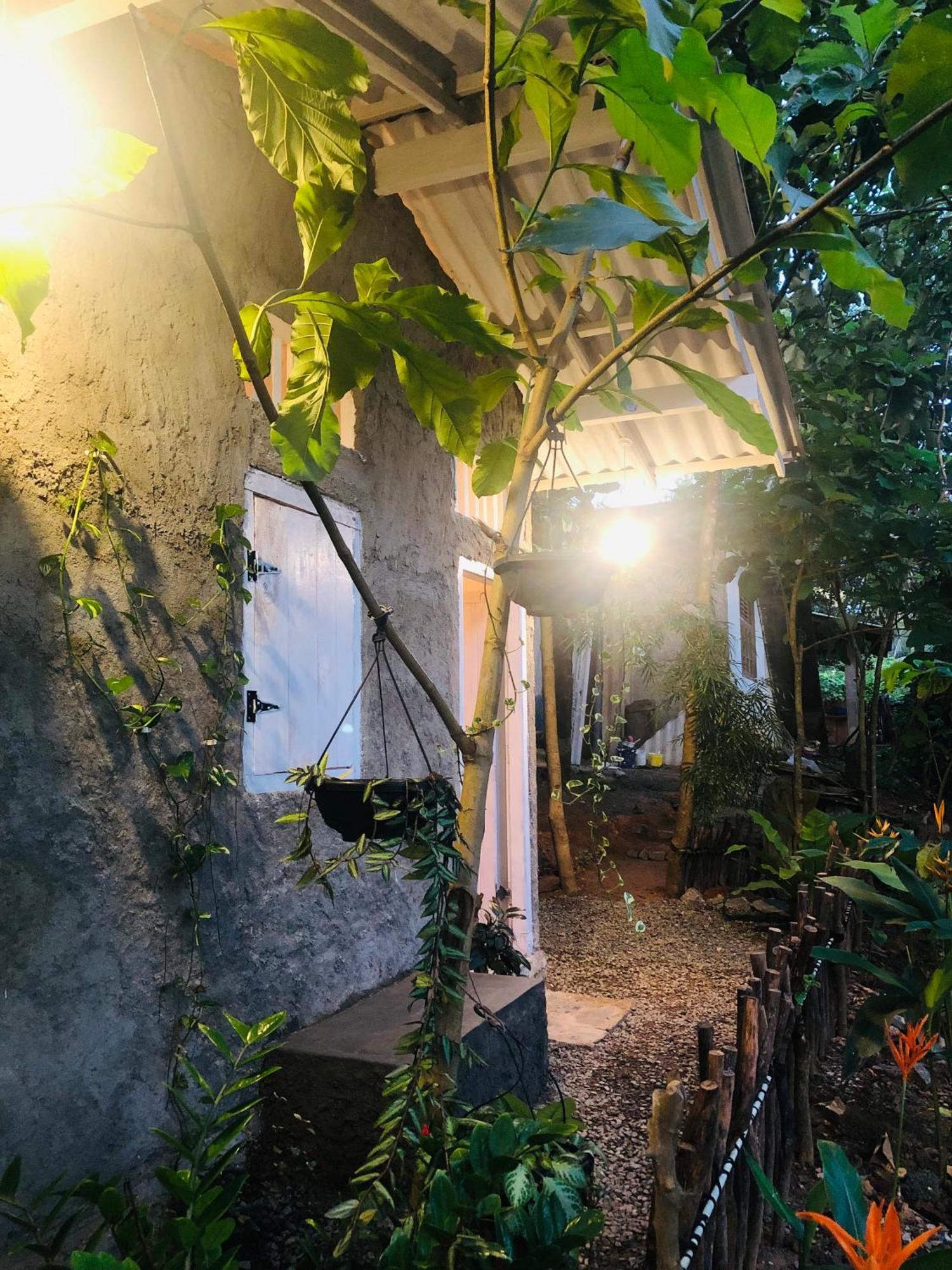 Linu Homestay ديكويلاّ تين المظهر الخارجي الصورة