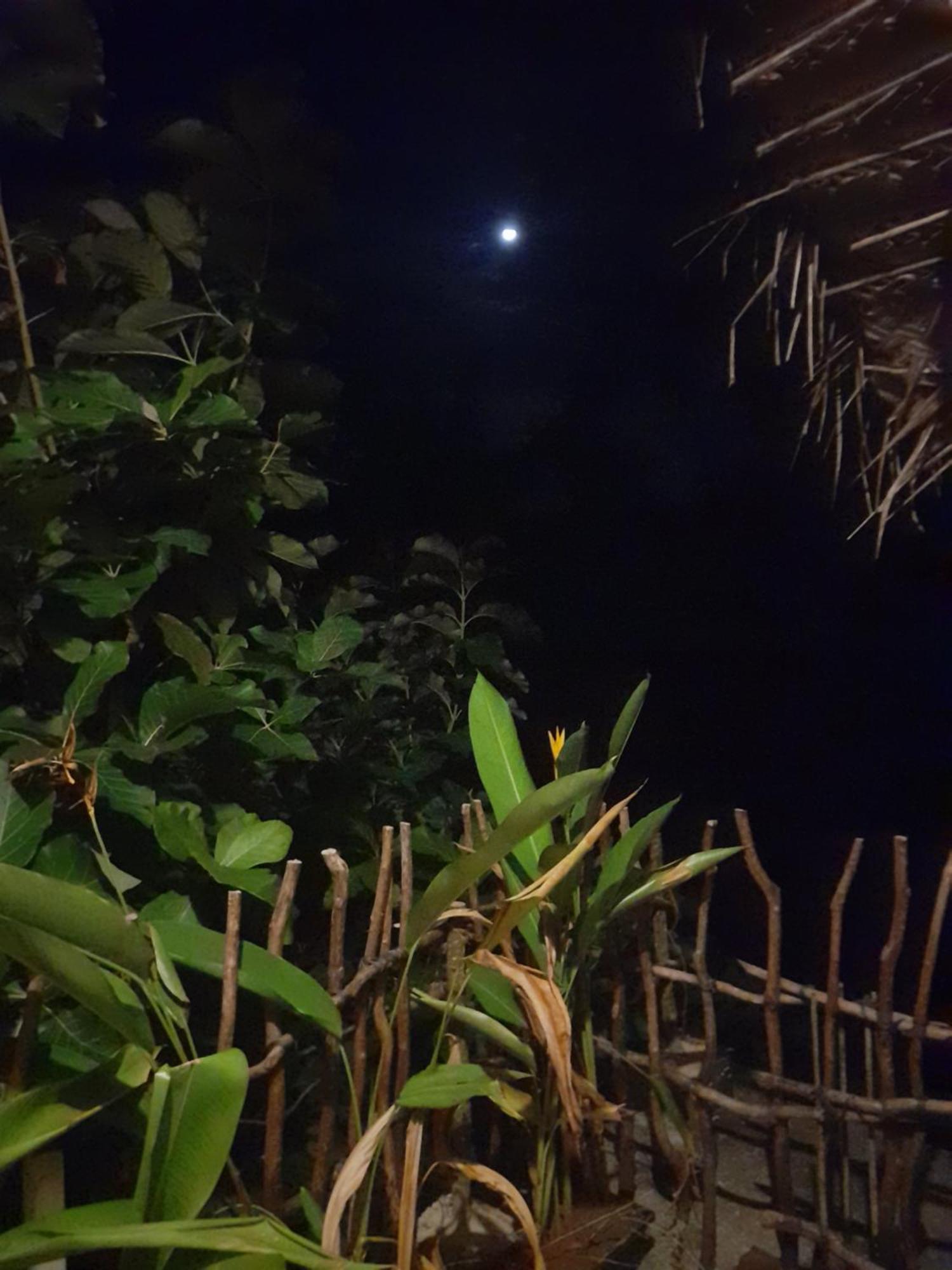 Linu Homestay ديكويلاّ تين الغرفة الصورة